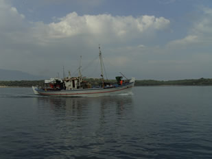 On the way to OREI